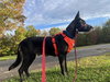 Autumn (TX) - Photo 4