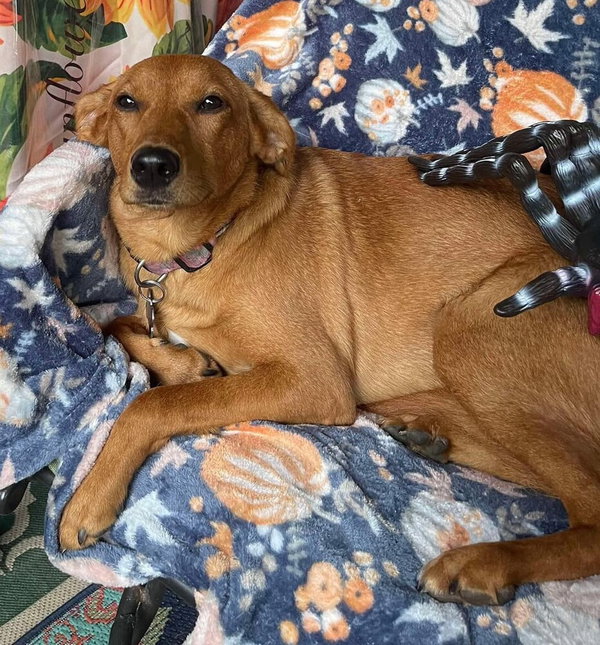 Marley
