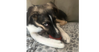 Colby (TX) - Photo 1