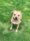 Bonnie (TX) - Photo 2