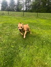 Bonnie (TX) - Photo 3