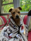 Bonnie (TX) - Photo 4