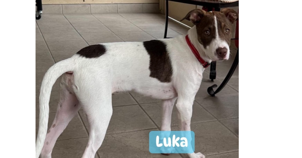 Luka (TX)