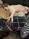 Luka (TX) - Photo 3