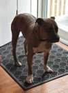 Hatcher (GA) - Photo 4