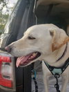 George (TX) - Photo 4