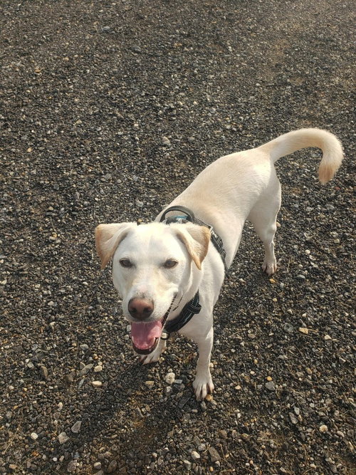 George (TX) photo 3