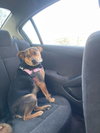 Paisley (TX) - Photo 3