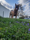 Bebe (TX) - Photo 4