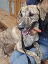 Glen (TX) - Photo 1