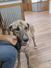 Glen (TX) - Photo 2
