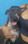 Betty2 (TX)