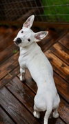 Samson (GA) - Photo 1