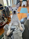 Samson (GA) - Photo 2