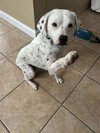 Lillian (GA) - Photo 1