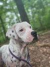 Lillian (GA) - Photo 4
