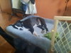 Cyle (TX) - Photo 4