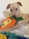 Jacob (GA) - Photo 2