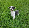 Ellie TX