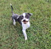 Ellie TX
