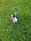 Ellie TX