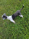 Ellie TX