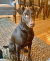 Dillon (MD) - Photo 2