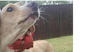 Lucy (TX) - Photo 2