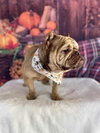 Truffle (GA) - Photo 4