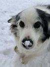 Fitz (GA) - Photo 2