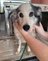 Fitz (GA) - Photo 3