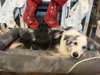 Fitz (GA) - Photo 4