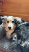 Fitz (GA) - Photo 2