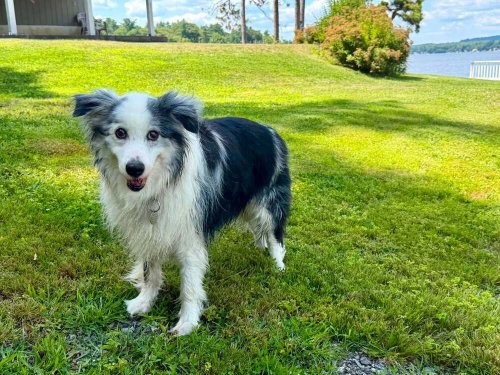 Fitz (GA), photo 2