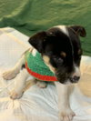 Saint (AL) - Photo 3