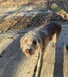 Linus (GA) - Photo 2