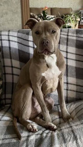 Priscilla (GA) a/k/a Prissy Image