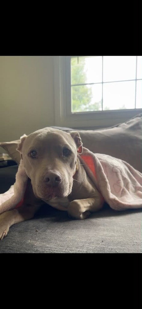 Priscilla (GA) a/k/a Prissy, photo 2