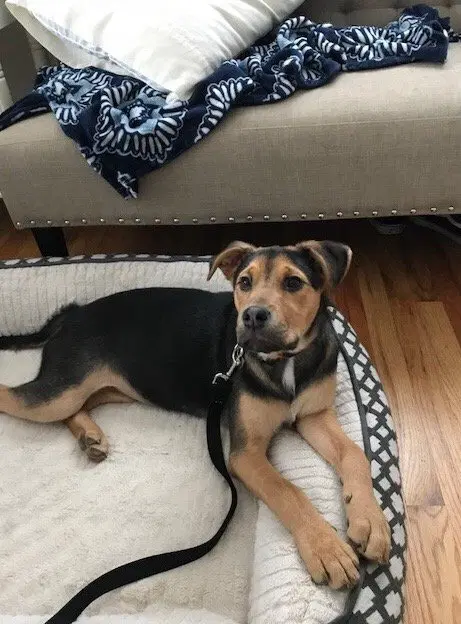 Eddie image 3