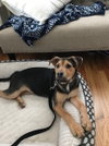 Eddie - Photo 3