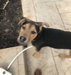 Eddie - Photo 4