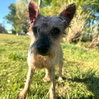Zoe (GA) - Photo 1