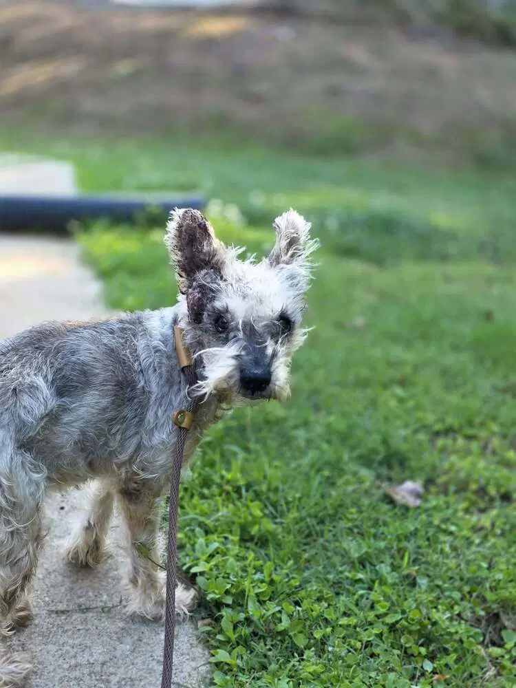 Zoe Ga image 2