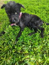 Melody (TX) - Photo 2