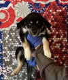Mocha (AL) - Photo 1