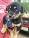 Mocha (AL) - Photo 3