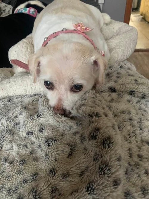 Mabel (TX) photo 2