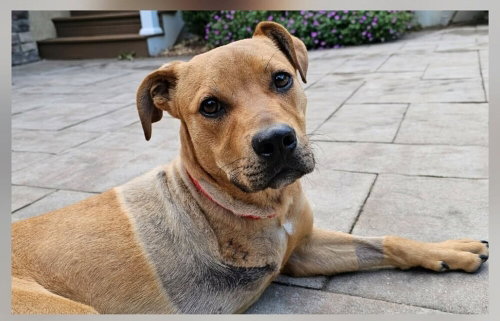 Roscoe (AL) photo 3