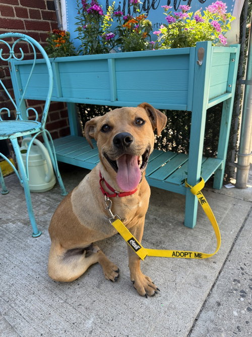 Roscoe (AL)