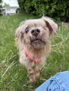 Rocky (NY) - Photo 3